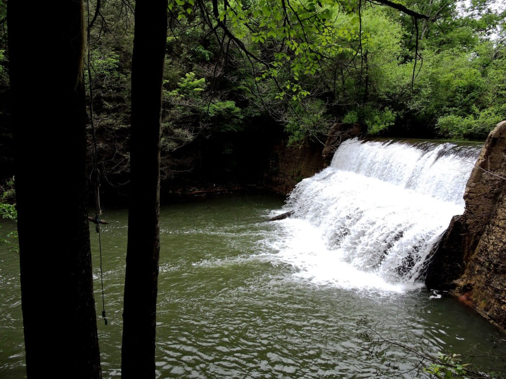 Ultimate Insider s Guide to Signal Mountain s Best Hiking Trails Near Chattanooga