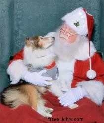 Holiday Magic at Hamilton Place: Santa s Arrival Parade, Festive Events & Extended Shopping Hours