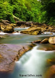 Top 5 Must-Do Hikes in Chattanooga: Epic Trails and Stunning Views