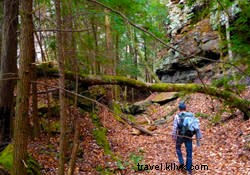 Top 5 Must-Do Hikes in Chattanooga: Epic Trails and Stunning Views