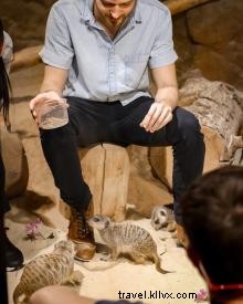 Exclusive Behind-the-Scenes Tours in Chattanooga: Unforgettable Adventures Await