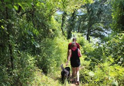 Ultimate Guide to Dog-Friendly Adventures in Chattanooga