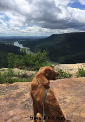Ultimate Guide to Dog-Friendly Adventures in Chattanooga