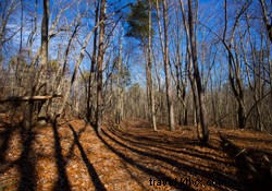 The 5 Most Challenging Hikes in Chattanooga: Test Your Limits