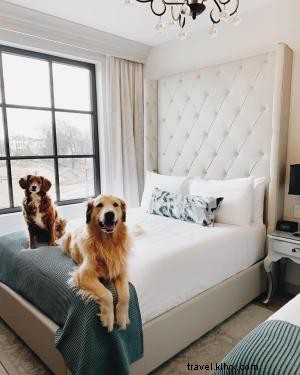 Ultimate Pet-Friendly Guide to Chattanooga: Hotels, Attractions & Restaurants