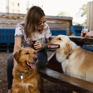 Ultimate Pet-Friendly Guide to Chattanooga: Hotels, Attractions & Restaurants