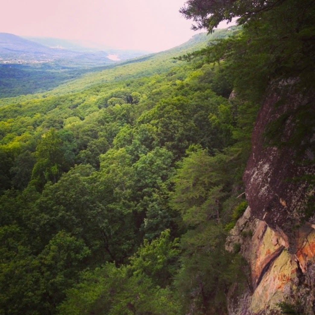 6 Best Hikes on Lookout Mountain: Trails for Every Skill Level with Stunning Chattanooga Views