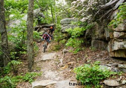 Top 5 Fall Mountain Bike Trails in Chattanooga: Scenic Singletrack Adventures