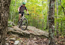 Top 5 Fall Mountain Bike Trails in Chattanooga: Scenic Singletrack Adventures