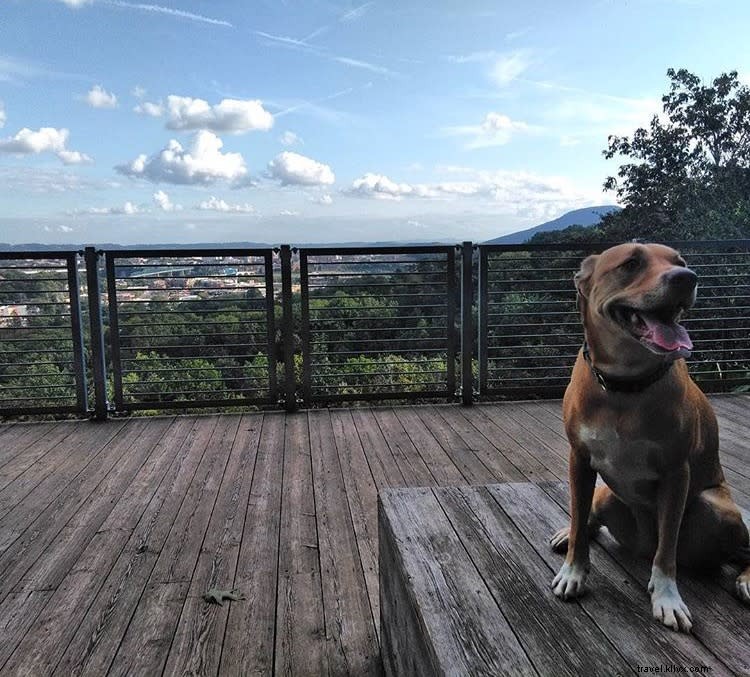 Stringer s Ridge: Chattanooga s Accessible Urban Gem for Mountain Biking, Trail Running, and Hiking