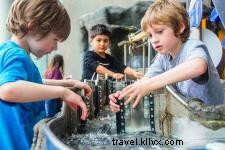 Rainy Day Adventures in Chattanooga: Endless Indoor Fun Awaits