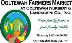 Chattanooga s Premier Local Farmers Markets: Fresh Produce, Artisan Goods & Community Vibes