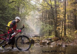 Top 5 Cabins Near Chattanooga for Unforgettable Outdoor Adventures