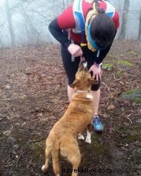 Best Dog-Friendly Hiking and Trail Running Spots Near Chattanooga