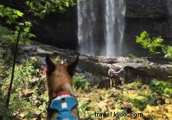 Best Dog-Friendly Hiking and Trail Running Spots Near Chattanooga