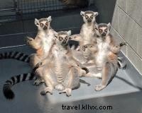 Chattanooga Solar Eclipse 2017: Top Viewing Parties and Essential Safety Tips