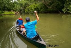 Top 5 Family-Friendly Hiking Trails in Chattanooga for All Ages