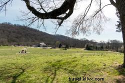 Top 5 Family-Friendly Hiking Trails in Chattanooga for All Ages