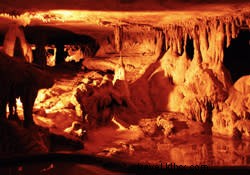 Raccoon Mountain Adventure: Explore Caverns Below and Trails Above Near Chattanooga