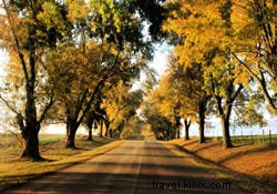 Top 5 Reasons to Bring Your Bike to Chattanooga: Premier Trails and Events