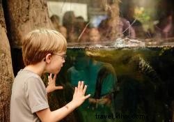 Top Indoor Winter Attractions in Chattanooga: Caves, Climbing, Museums & More