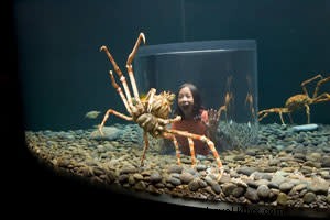 Achieve Your New Year s Resolutions: Outdoor Adventures, Healthy Eating, and Culture in Chattanooga