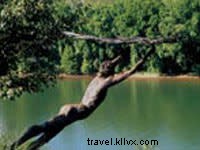 Ultimate 3-Day Art Lover s Itinerary in Chattanooga: Discover the Scenic City s Creative Treasures