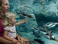 Chattanooga Foodie Itinerary: A 3-Day Culinary Adventure with Local Gems