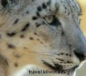 Top 6 Chattanooga Coupons: Maximize Savings on Attractions, Adventures, and Dining