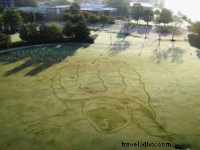 Chattanooga s Dew Artist: Hollie Berry Crafts Giant Animal Portraits from Morning Dew