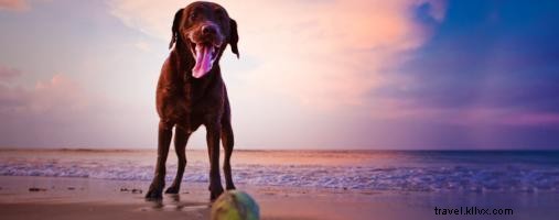 Celebrate Thanksgiving on the Outer Banks: Family Gatherings, Beach Adventures & Holiday Deals