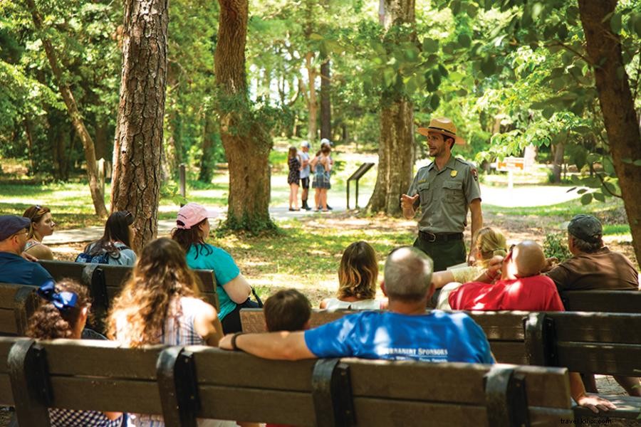 Discover the Best of Roanoke Island and Dare County Mainland: Wildlife, History, and Outdoor Adventures