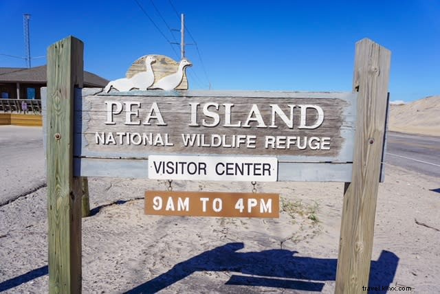 7 Romantic Reasons Couples Should Visit the Outer Banks (OBX)