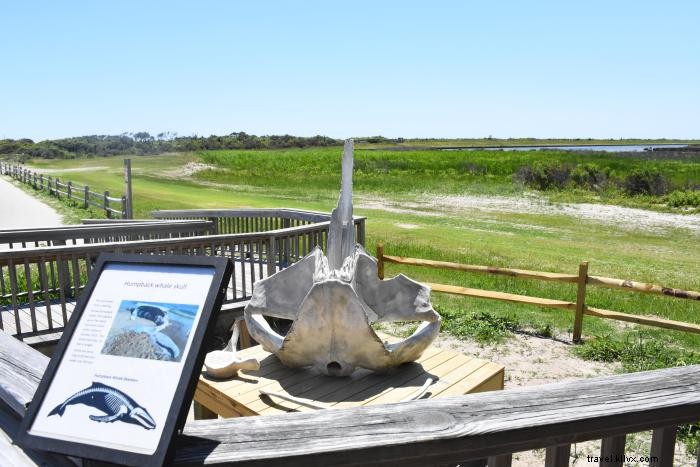 Discover the Protected Lands of North Carolina s Outer Banks: Wildlife Refuges, Parks, and Historic Gems