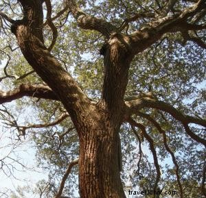 First in Freedom: African American Heritage and Diversity on the Outer Banks
