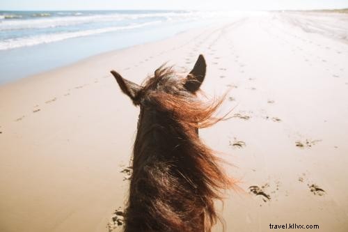 Ultimate Adventure Travel Guide to North Carolina s Outer Banks