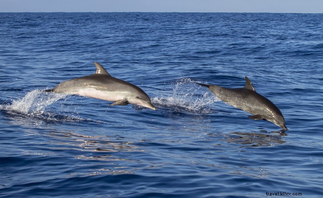 13 Top Outdoor Activities for Baby Boomers in North Carolina s Outer Banks