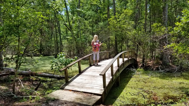13 Top Outdoor Activities for Baby Boomers in North Carolina s Outer Banks