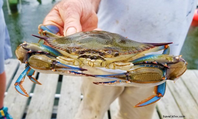 13 Top Outdoor Activities for Baby Boomers in North Carolina s Outer Banks