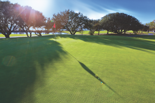 From Fairways to Feasts: Best Post-Golf Dining in North Carolina s Outer Banks