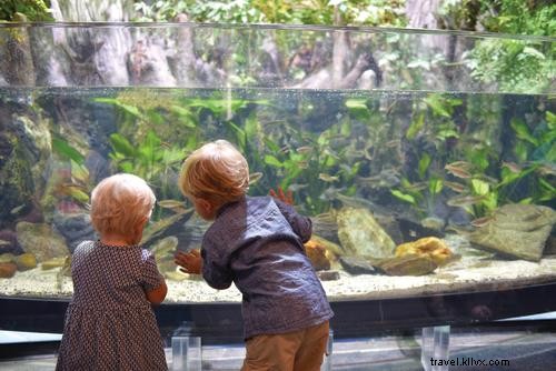 Top Outer Banks Attractions: Historic & Cultural Gems on Roanoke, Hatteras, and Northern Beaches