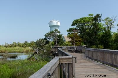 Top 7 Kid-Friendly Hiking Trails in the Outer Banks for Families