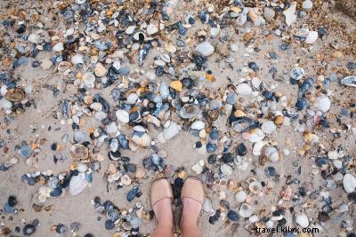 Top Socially Distant Activities on the Outer Banks: Safe, Scenic OBX Adventures