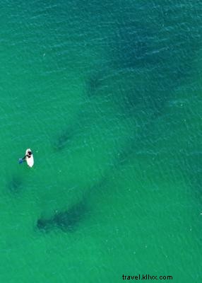 5 Accessible Shipwrecks to Explore Along the Outer Banks Coastline