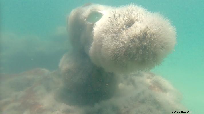5 Accessible Shipwrecks to Explore Along the Outer Banks Coastline