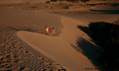 Ultimate Guide to Hiking Trails in North Carolina s Outer Banks: Best Walks, Boardwalks & Climbs