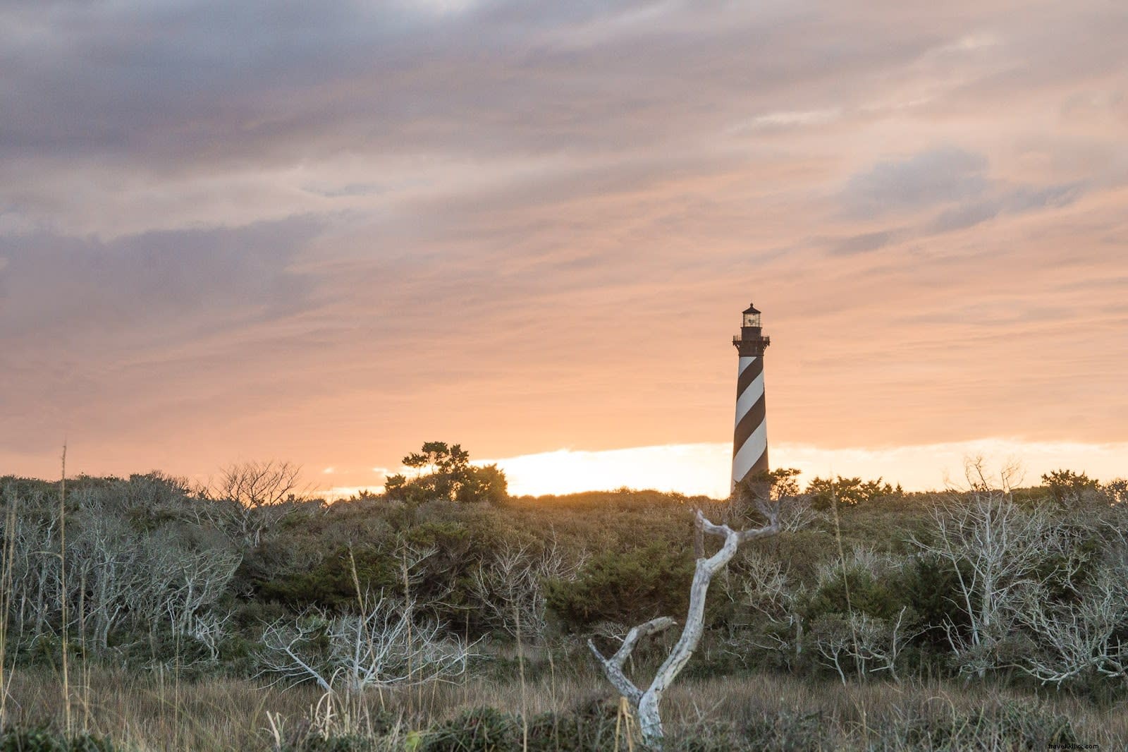 Top 10 Must-Do Activities for Your Outer Banks (OBX) Vacation | Local Expert Picks