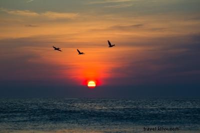 5 Unforgettable Ways to Elevate Your Family Vacation in North Carolina s Outer Banks