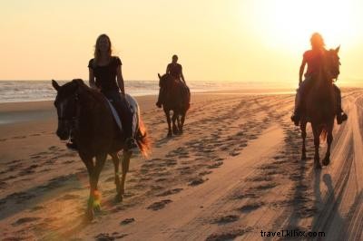 5 Unforgettable Ways to Elevate Your Family Vacation in North Carolina s Outer Banks