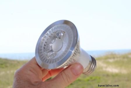 Cape Hatteras National Seashore Breaks Sea Turtle Nesting Record with Over 350 Nests